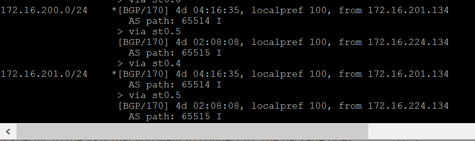 VPN4